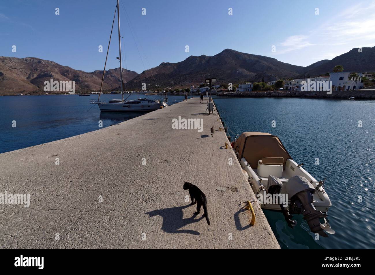 Gatto e ombra, lato porto, Livadia, Tilos, isole del Dodecaneso, Egeo meridionale, Grecia. Foto Stock