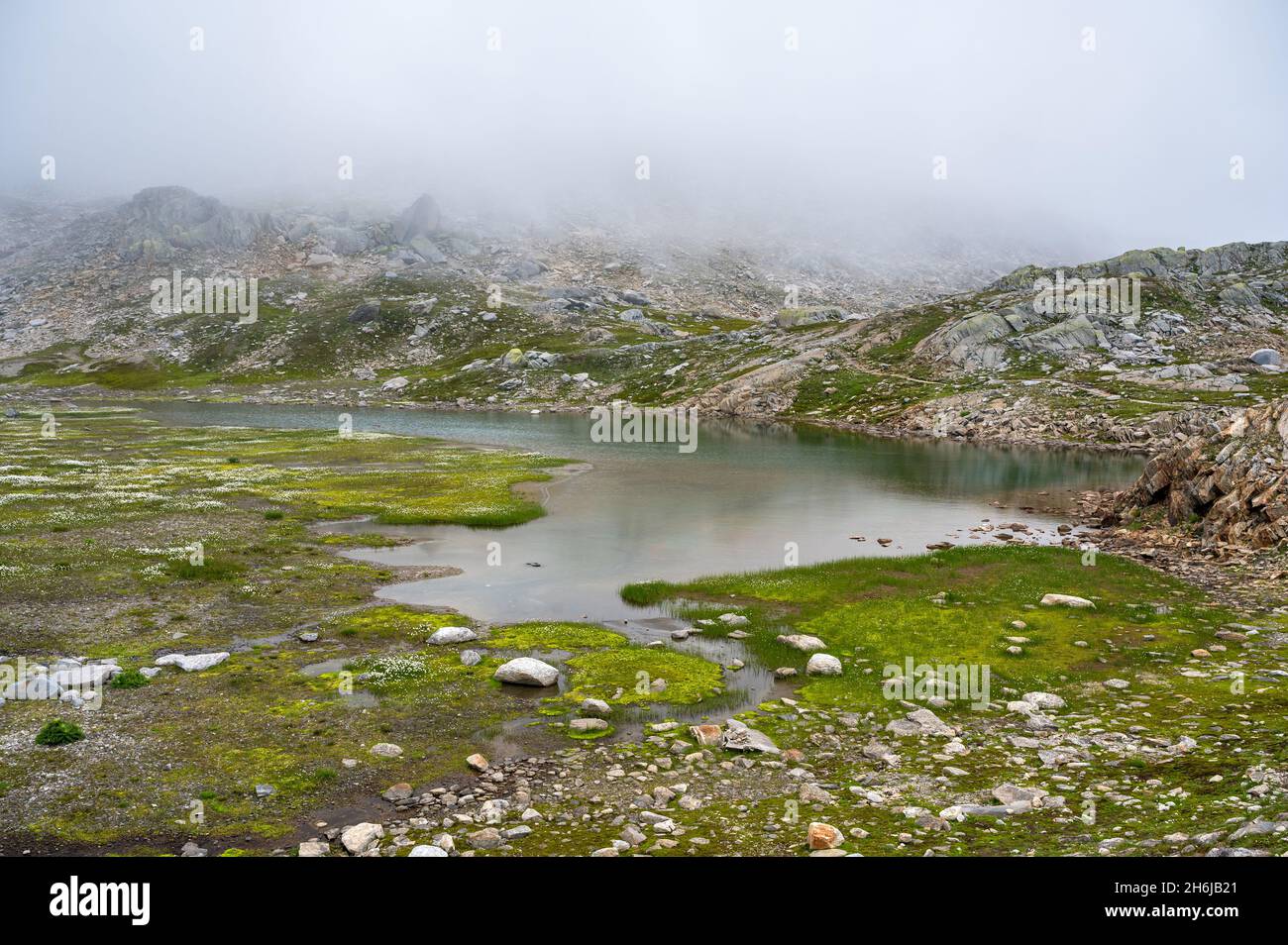 Lago di montagna con cottongrass in Val Maighels, Surselva Foto Stock