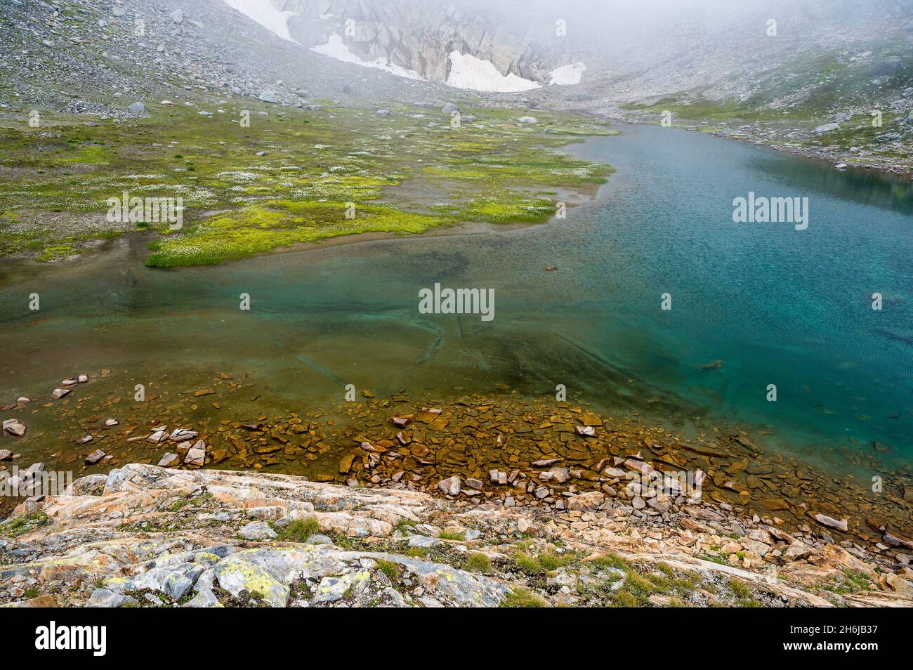 Lago di montagna con cottongrass in Val Maighels, Surselva Foto Stock