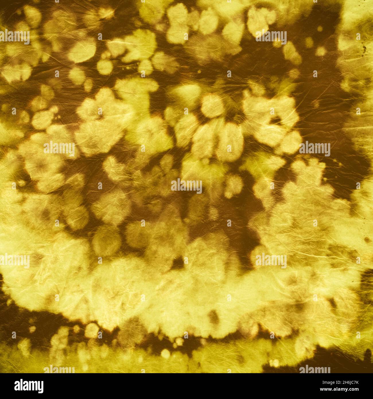 Tie Dye Spiral background. Stampa batik giallo. Foto Stock