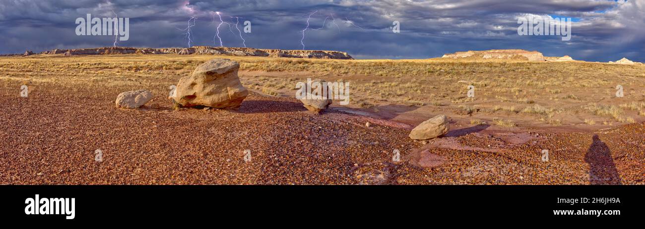 Grande tempesta che si avvicina a Blue Mesa nel Parco Nazionale della Foresta pietrificata, vista dal Red Basin Trail, vicino a Holbrook, Arizona, Stati Uniti Foto Stock