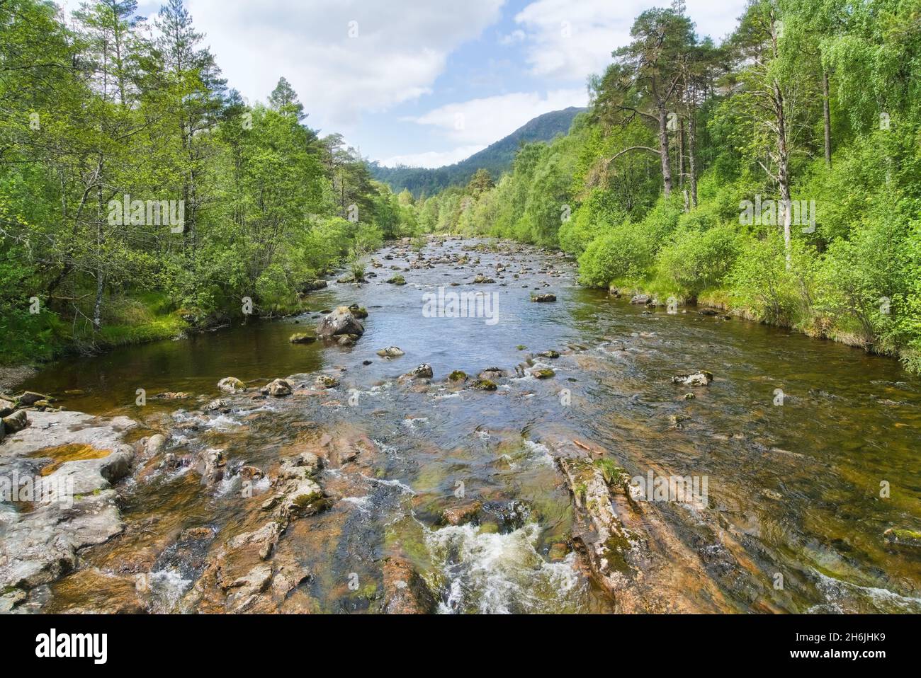 River Affric in Glen Affric, guardando a ovest a monte, dal parcheggio. Riserva naturale nazionale, Cannich, Inverness, Highland, Scozia, REGNO UNITO Foto Stock