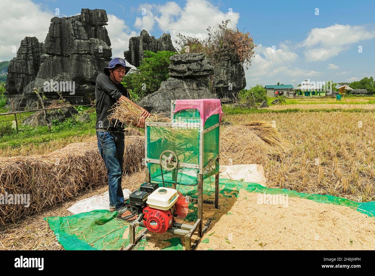 Macchina uomo che batte riso con rocce calcaree nella zona carsica, Rammang-Rammang, Maros, Sulawesi meridionale, Indonesia, Sud-est asiatico, Asia Foto Stock