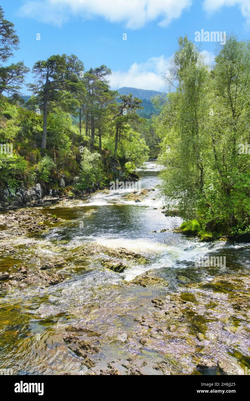 River Affric presso il parco auto Circuit, Glen Affric, National Nature Reserve, Cannich, Inverness, Highland, Scozia, Regno Unito Foto Stock