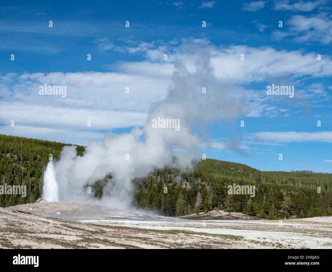 Il geyser a cono chiamato Old Faithful erutting, il parco nazionale di Yellowstone, sito patrimonio dell'umanità dell'UNESCO, Wyoming, Stati Uniti d'America, Nord America Foto Stock