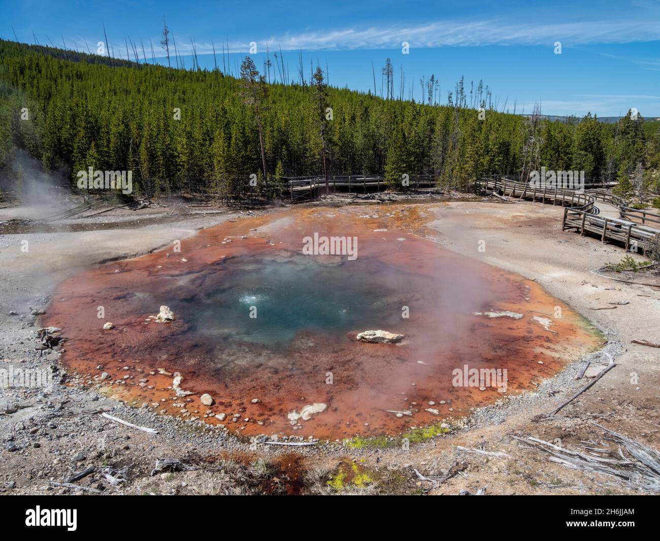 Primavera di echinus nel bacino del geyser di Norris, Parco Nazionale di Yellowstone, Sito Patrimonio Mondiale dell'UNESCO, Wyoming, Stati Uniti d'America, Nord America Foto Stock