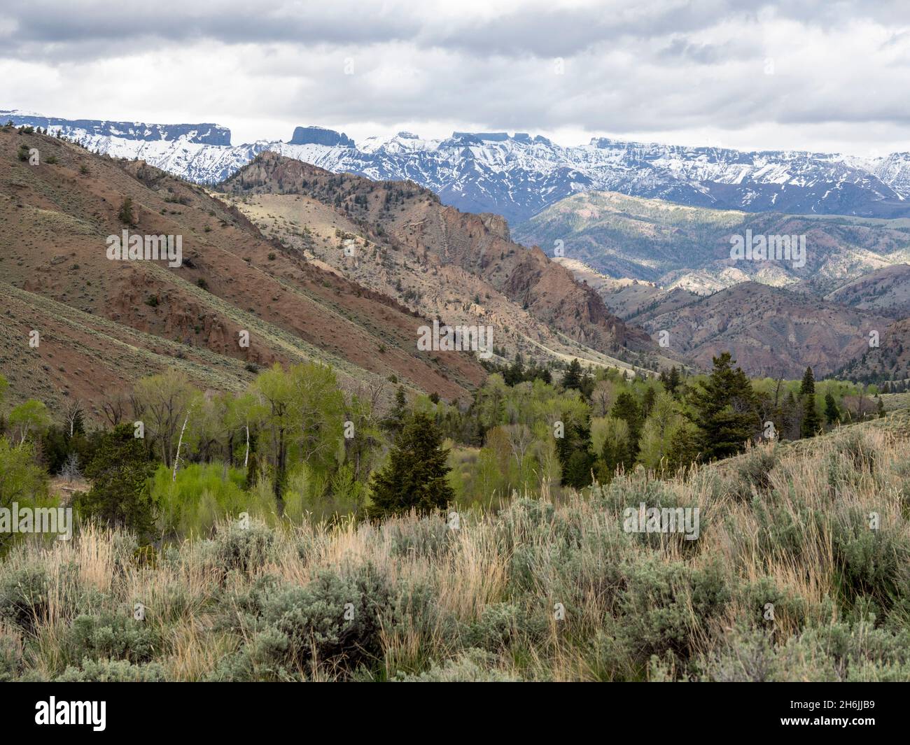 L'area di Washakie Wilderness all'interno della Shoshone National Forest, Wyoming, Stati Uniti d'America, Nord America Foto Stock