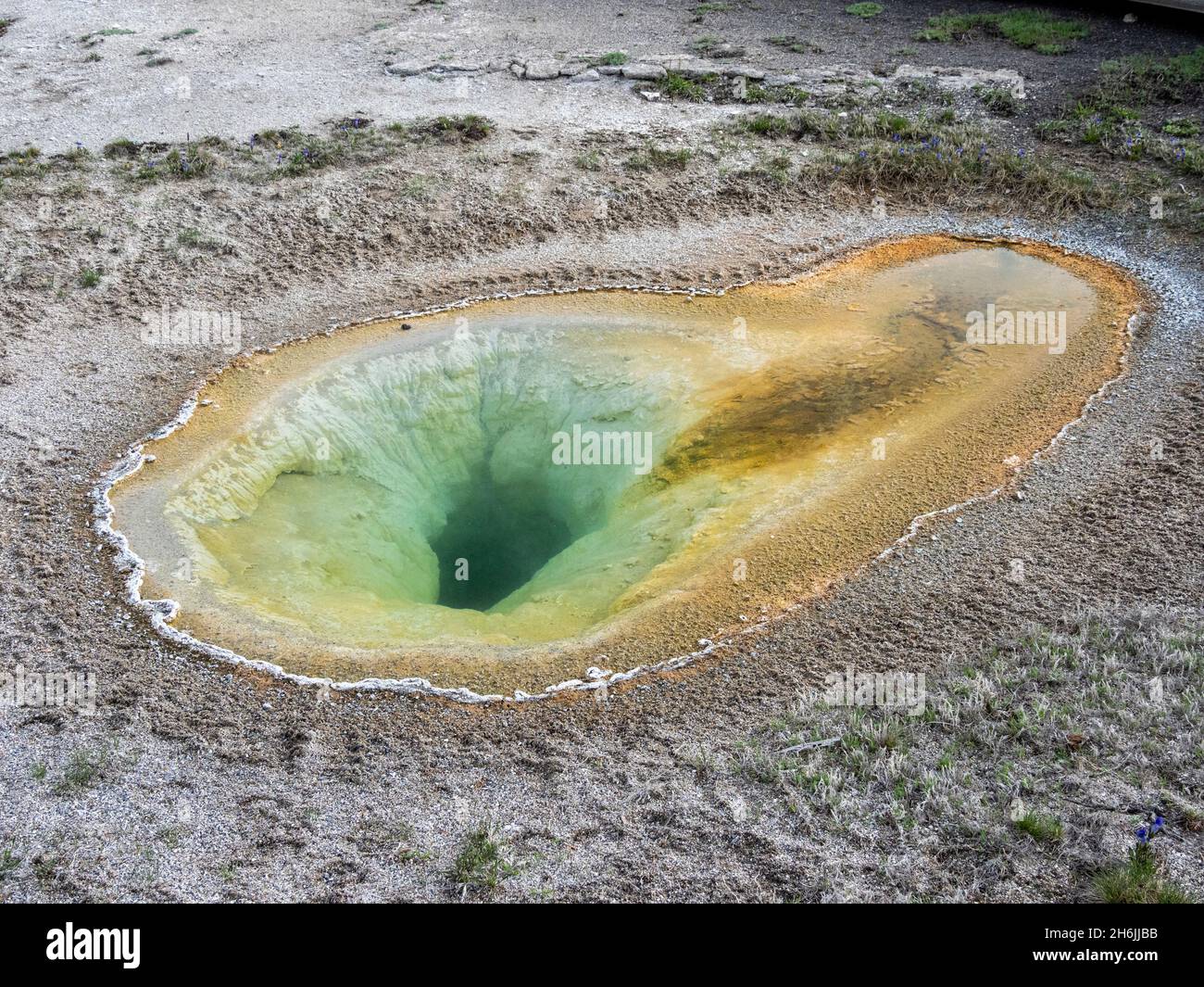 Belgian Pool, nell'area di Norris Geyser Basin, Yellowstone National Park, sito patrimonio dell'umanità dell'UNESCO, Wyoming, Stati Uniti d'America Foto Stock