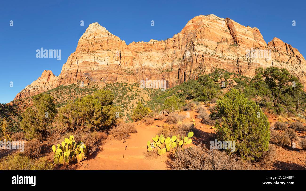 Watchman Mountain, Zion National Park, Colorado Plateau, Utah, Stati Uniti d'America, Nord America Foto Stock