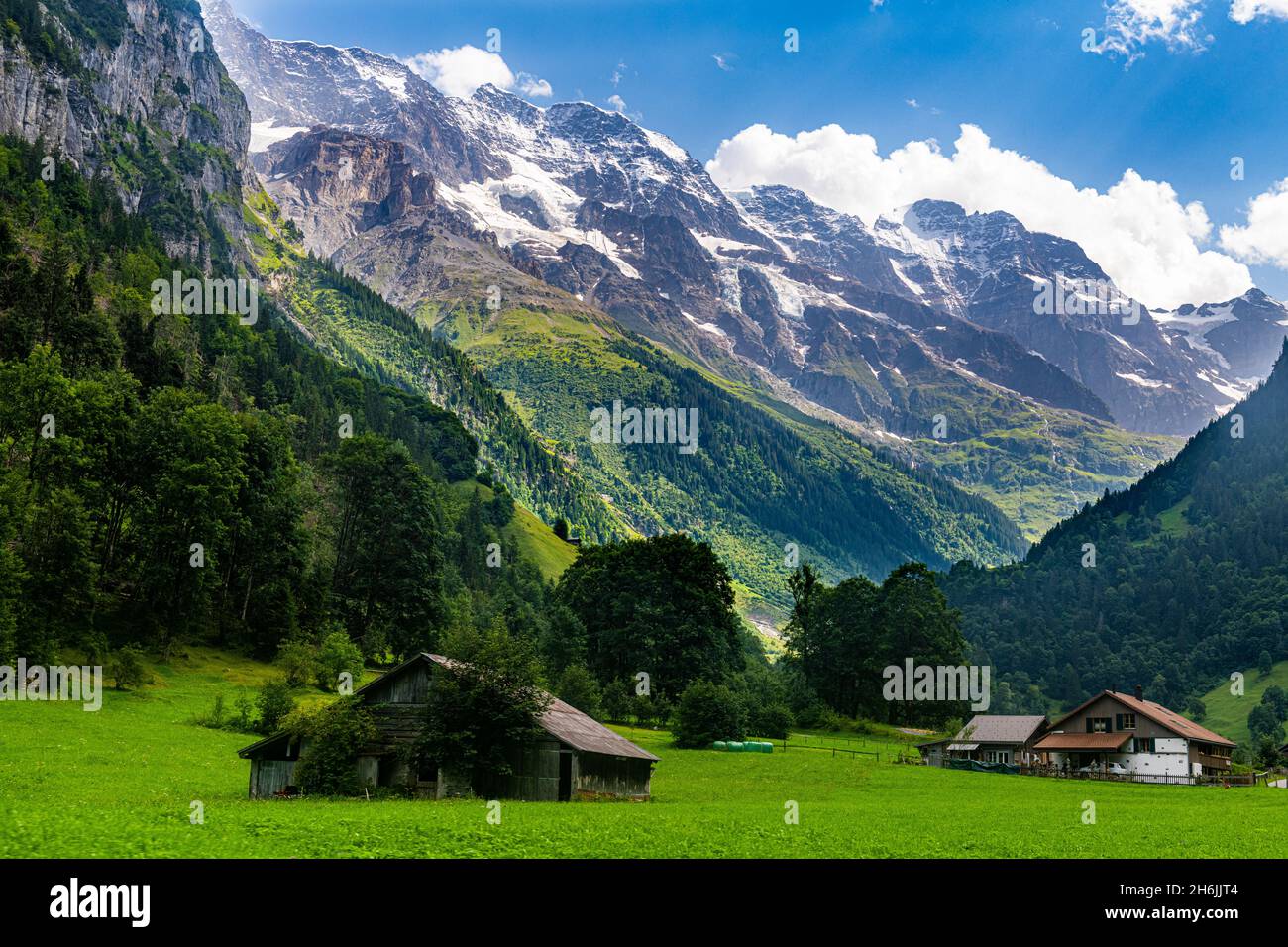 Valle Lauterbrunnen, Oberland Bernese, Svizzera, Europa Foto Stock