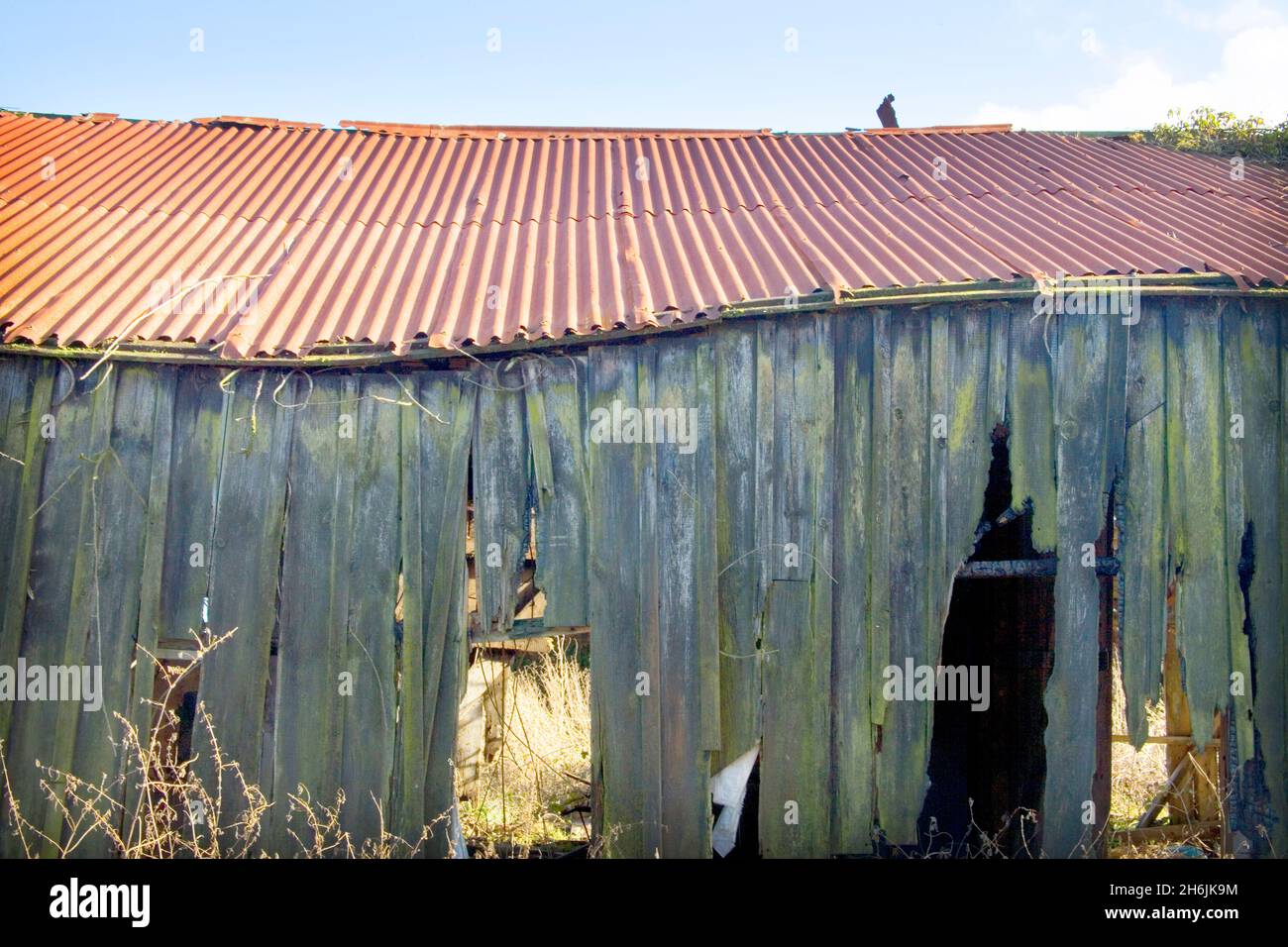 vecchie capannoni agricoli in decadimento vicino a selsey west sussex Foto Stock