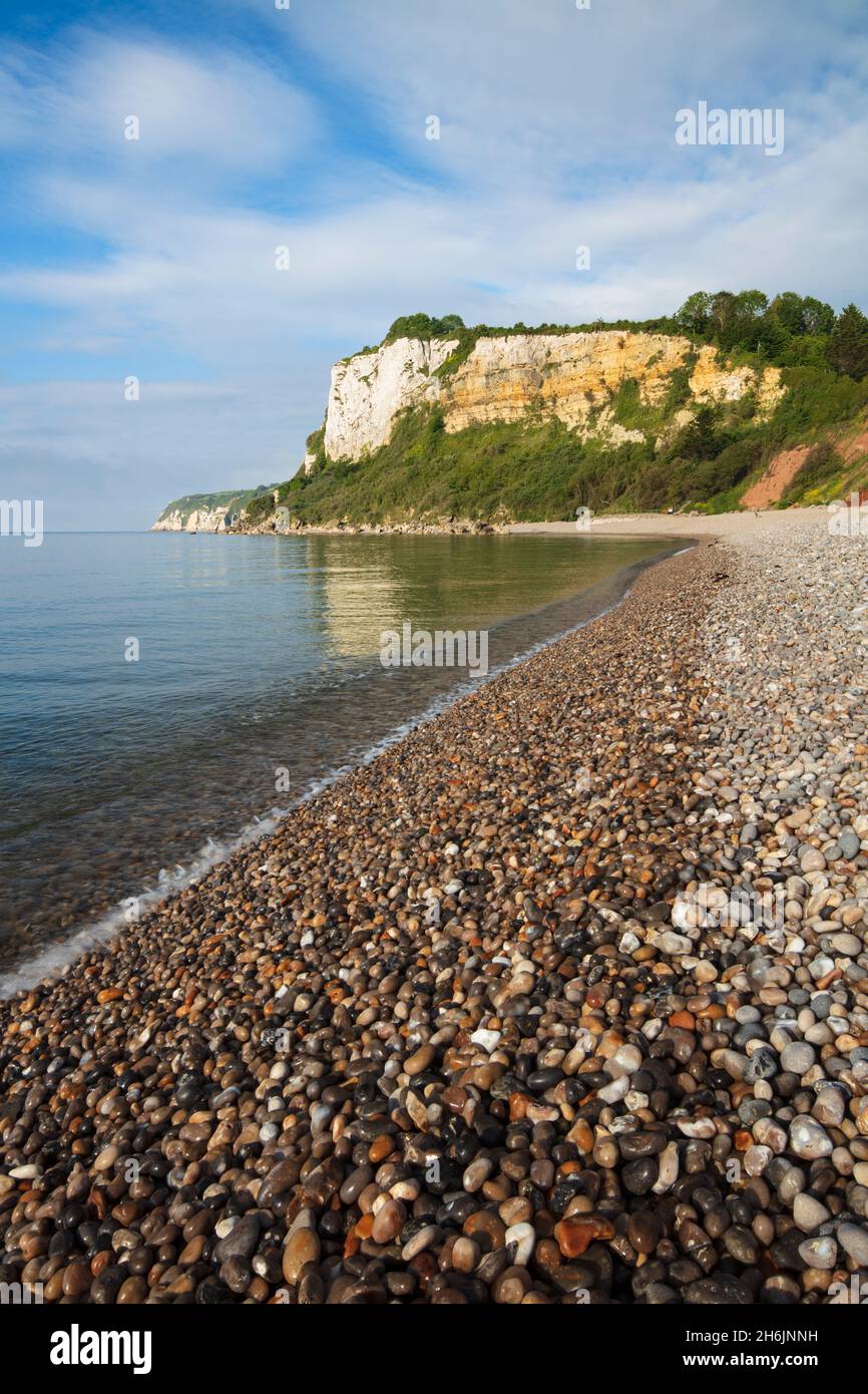 Spiaggia di ghiaia e scogliere di Seaton Hole in alta marea, Seaton, Jurassic Coast, patrimonio dell'umanità dell'UNESCO, Devon, Inghilterra, Regno Unito, Europa Foto Stock