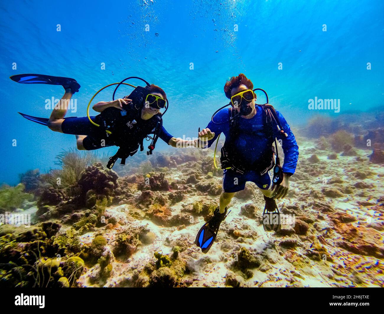 Coppia scuba diving mentre esplorano le barriere coralline di Bonaire, Antille Olandesi, Caraibi, America Centrale Foto Stock