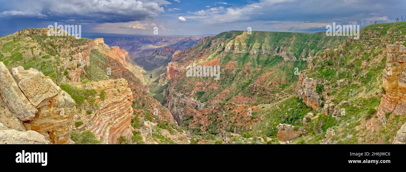 Vista dal Saddle Mountain si affaccia sul bordo nord-est del Grand Canyon North Rim e la Kaibab National Forest, Arizona, Stati Uniti Foto Stock