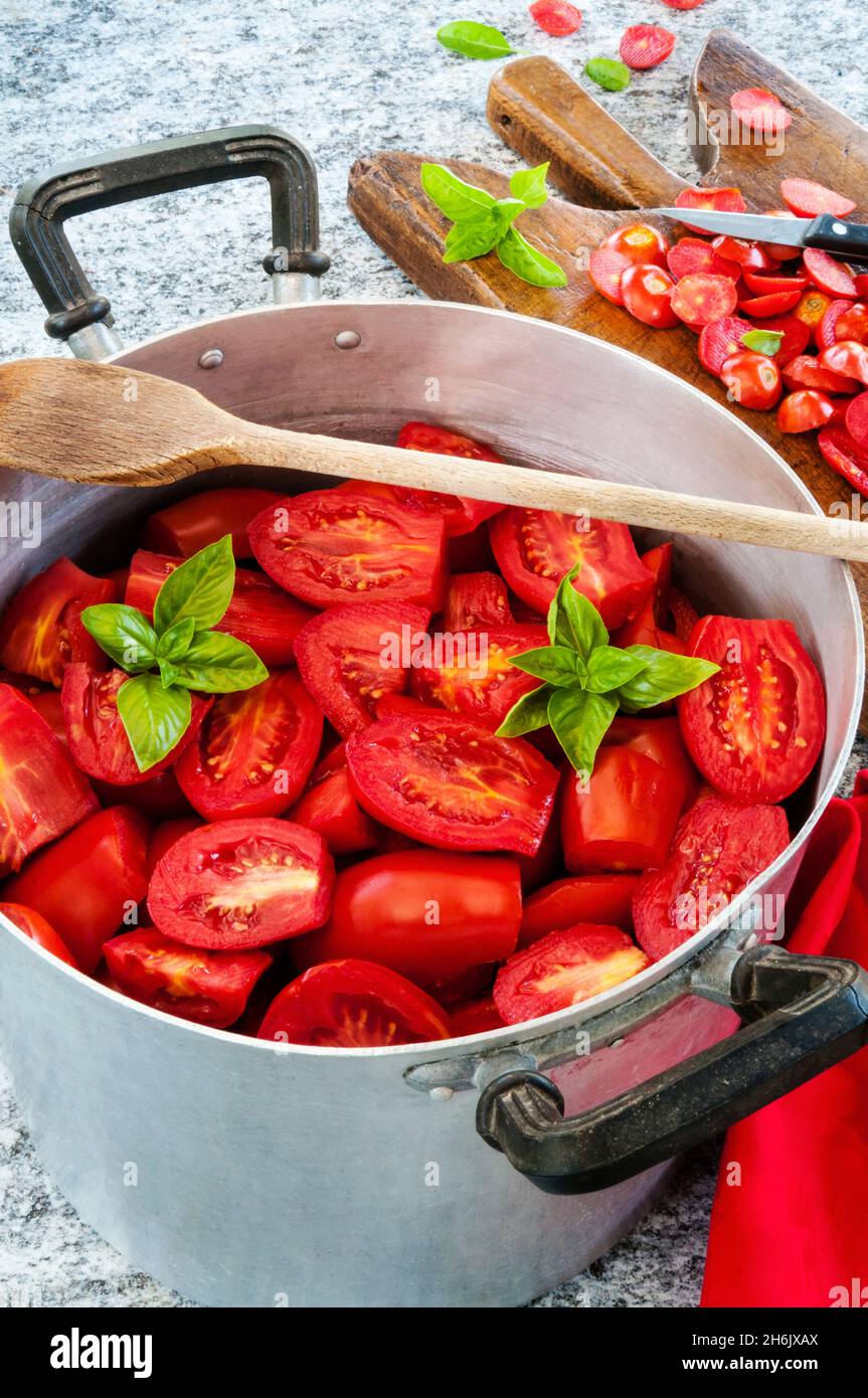 Preparazione della salsa di pomodoro con pomodori e basilico, per la stagione invernale, Firenze, Toscana, Italia, Euruope Foto Stock