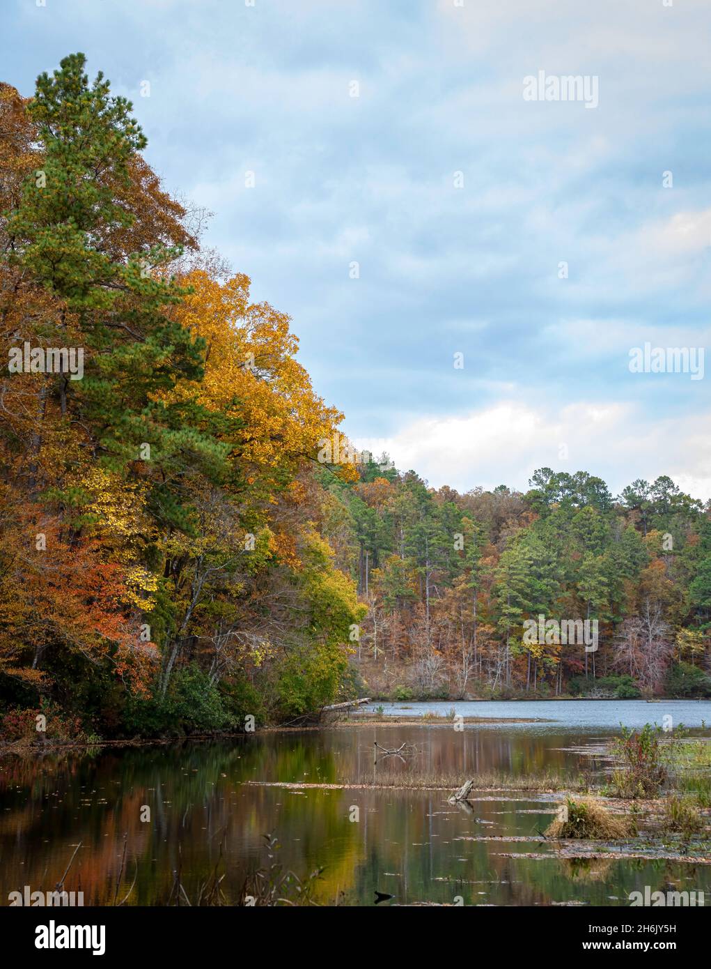 Autunno Appalachian paesaggio di selvaggia boscosa vicino ad un lago. Foto Stock