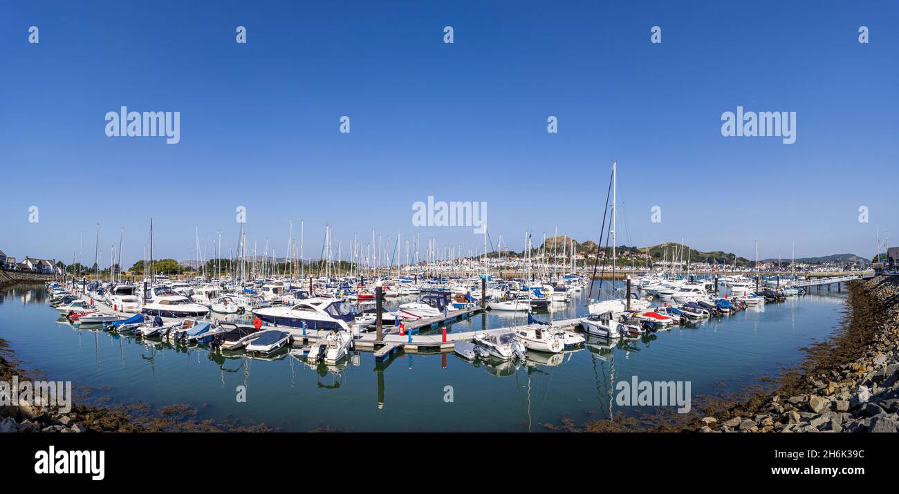 Panorama sopra le barche ormeggiate ai pontoni in Conwy Marina in una giornata di sole, Conwy, Galles, Regno Unito, Foto Stock