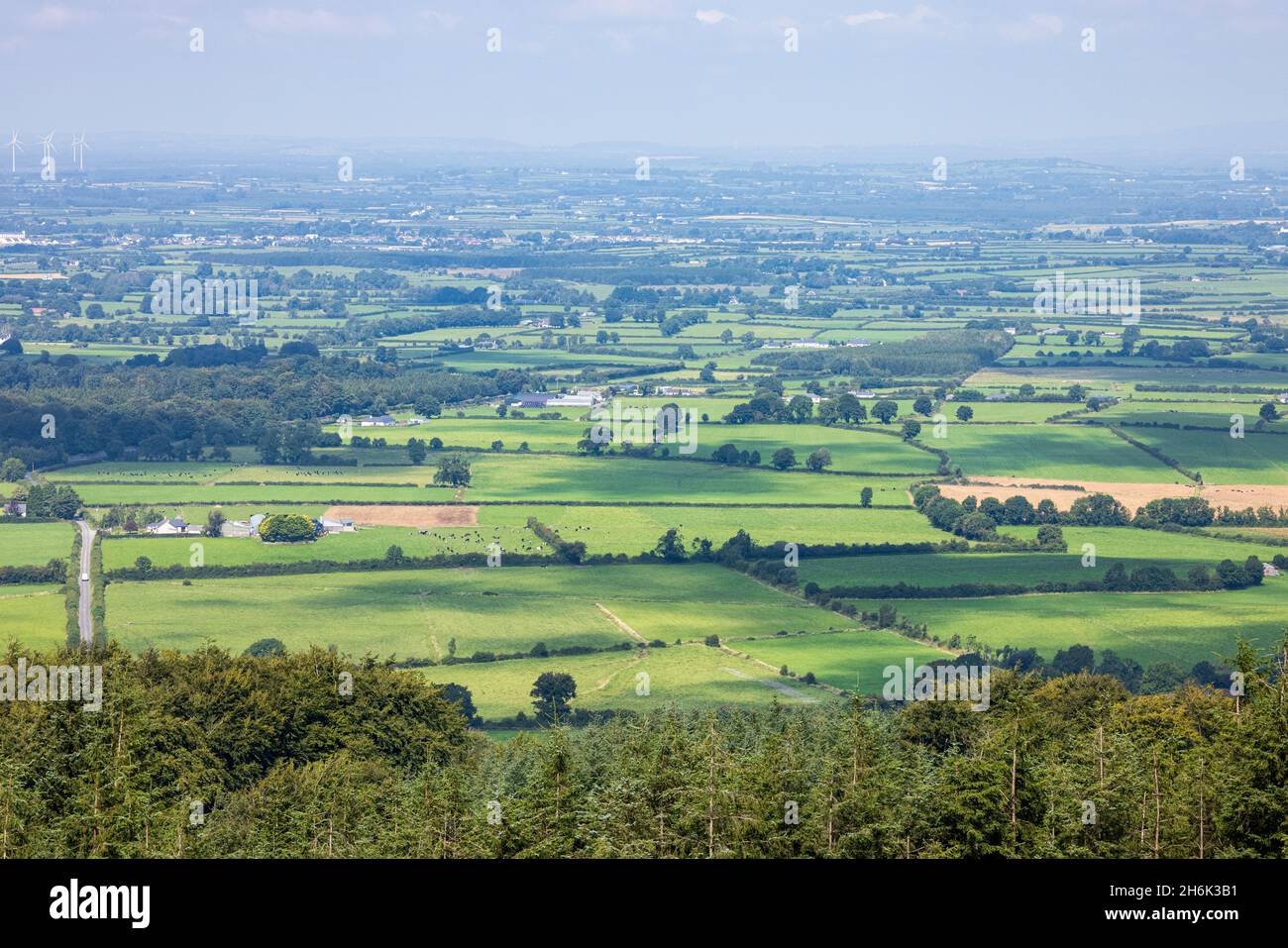 Vista sulla campagna con campi verdi dalla Wellington Memorial Tower a Grange Crag, County Tipperary, Irlanda Foto Stock