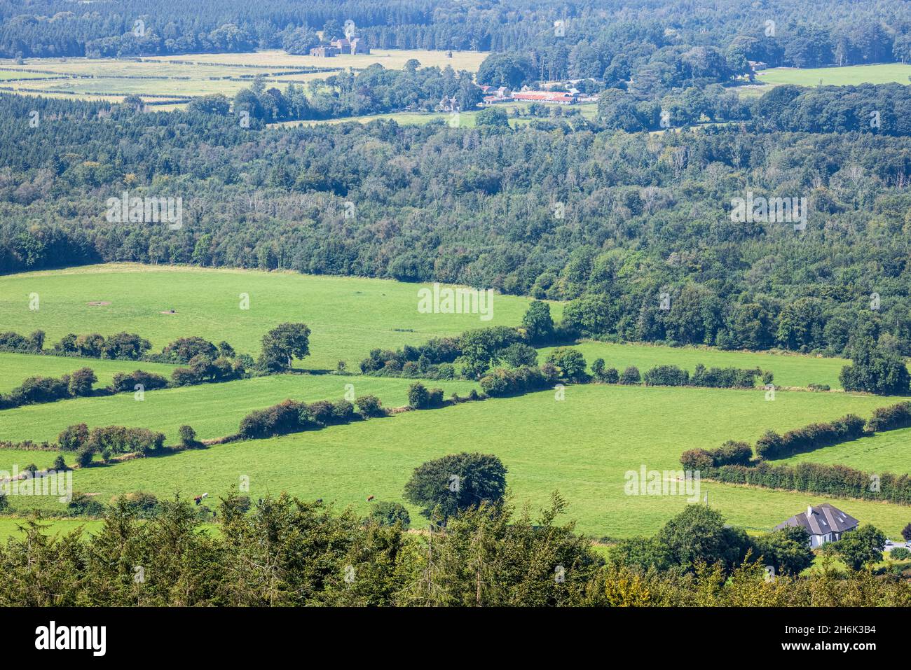 Vista sulla campagna con campi verdi dalla Wellington Memorial Tower a Grange Crag, County Tipperary, Irlanda Foto Stock