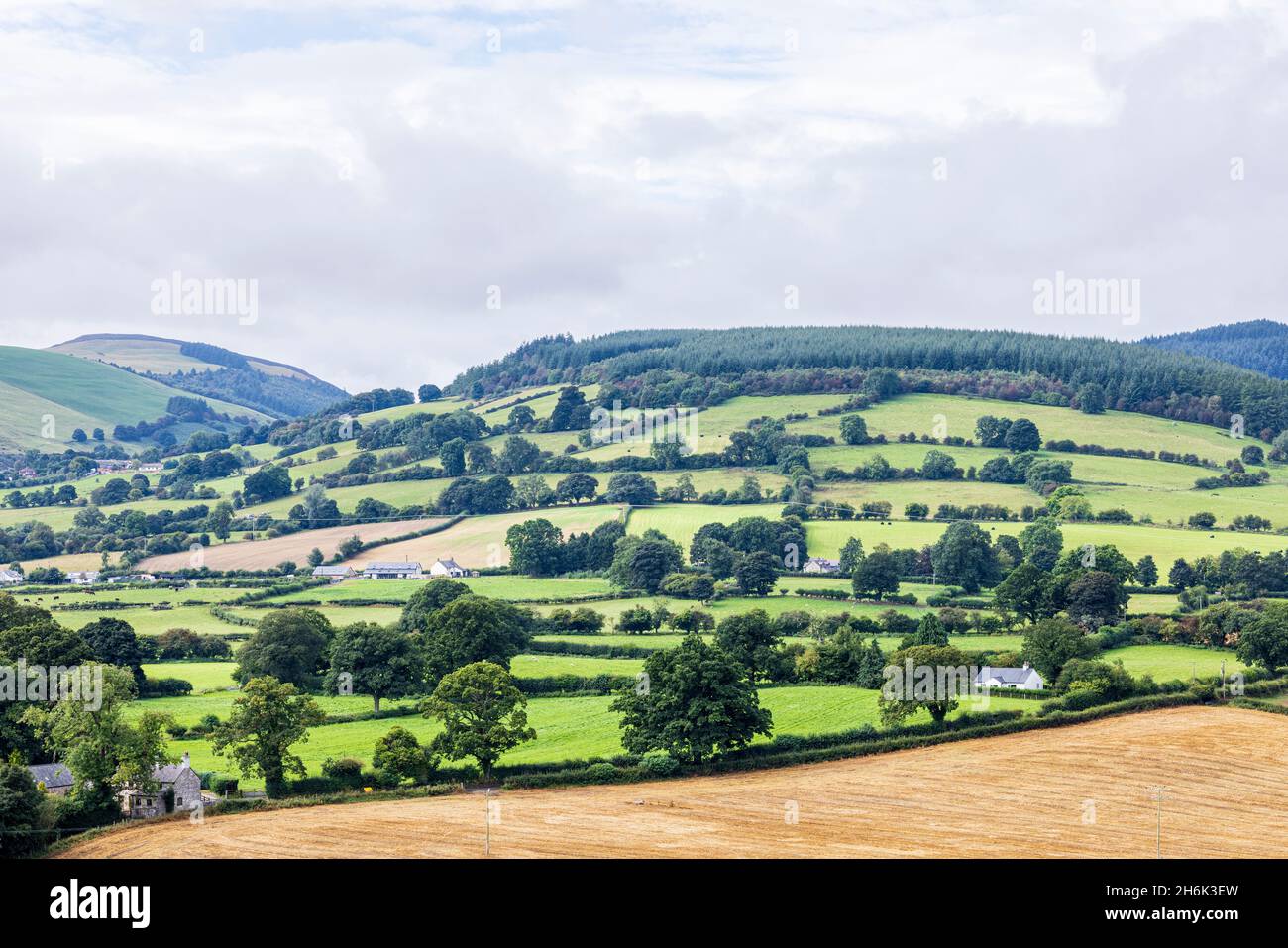 Vista di Moel Famau nella catena Clwydian dalla passeggiata sulla scogliera al Loggerheads Country Park, Galles, Regno Unito, Foto Stock