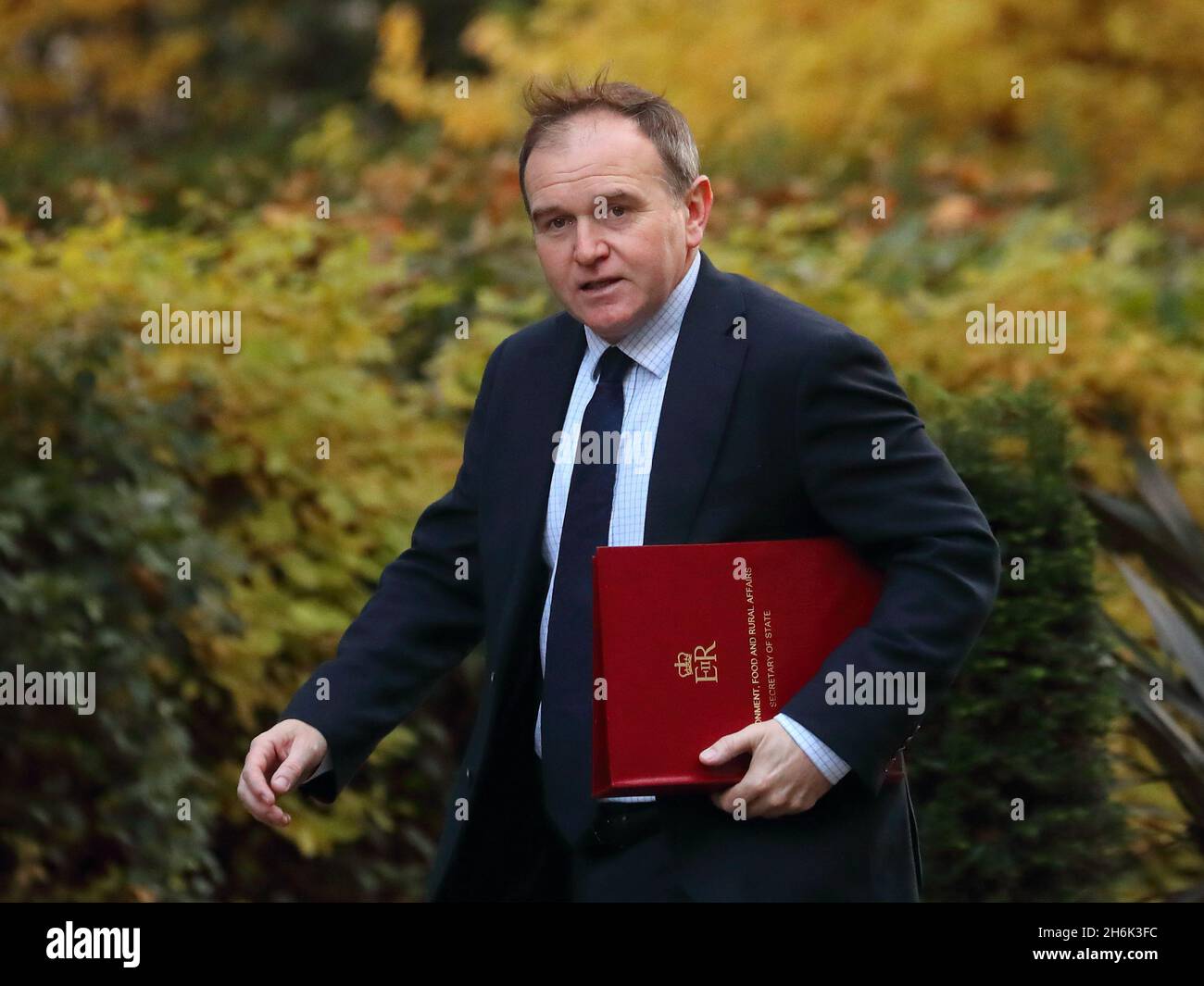 Londra, Regno Unito. 16 novembre 2021. Il Segretario per l'ambiente George Eustice arriva a Downing Street per la riunione settimanale del Gabinetto. Credit: Uwe Deffner/Alamy Live News Foto Stock