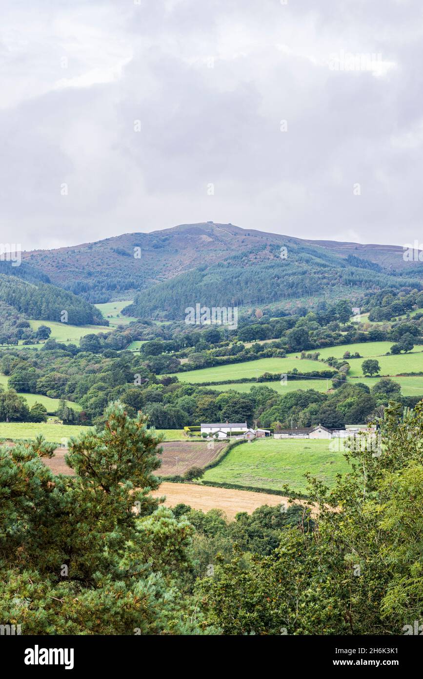 Vista di Moel Famau nella catena Clwydian dalla passeggiata sulla scogliera al Loggerheads Country Park, Galles, Regno Unito, Foto Stock