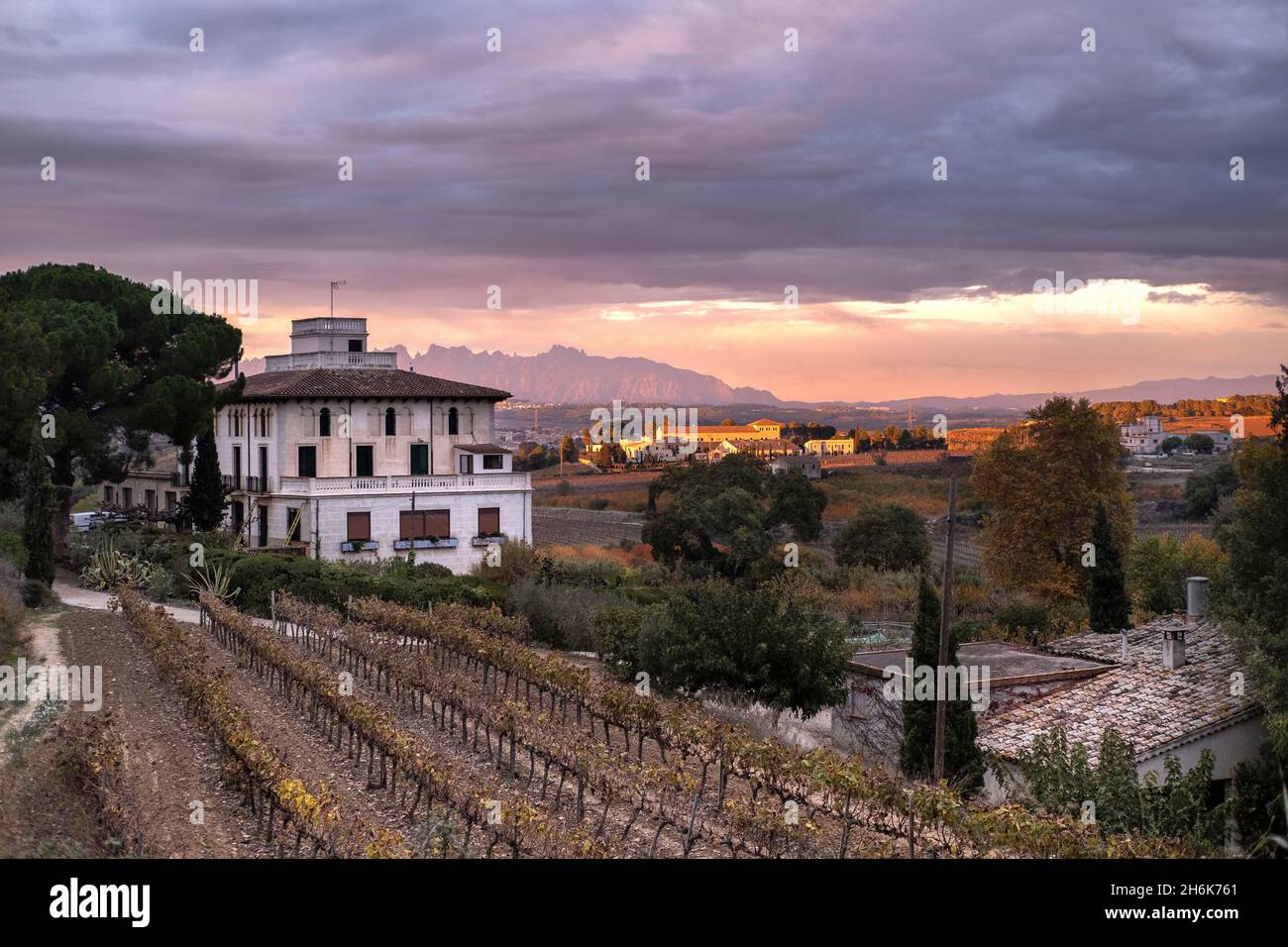 Paesaggio del vino nella regione dei Sibirats a Penedes nella provincia di Barcellona in Catalogna Spagna Foto Stock