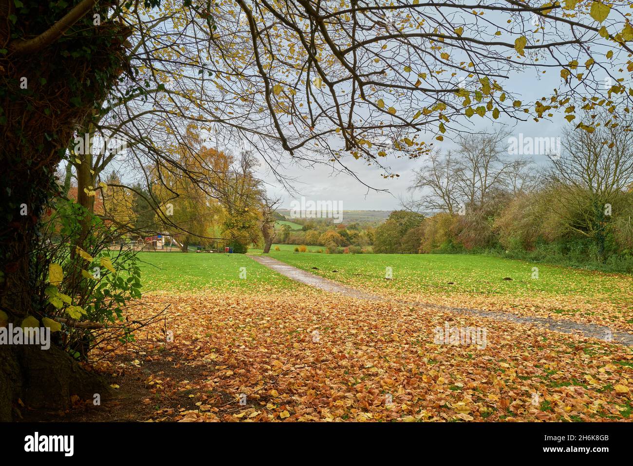 L'autunno parte al parco di campagna East Carlton, di fronte alla valle di Welland, Corby, Inghilterra. Foto Stock