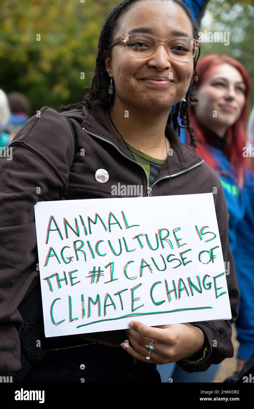 Londra. Lincoln's Inn Fields. Estinzione la ribellione segna la fine del COP 26. Una donna tiene una targhetta dicendo che l'agricoltura animale è la causa principale della cli Foto Stock