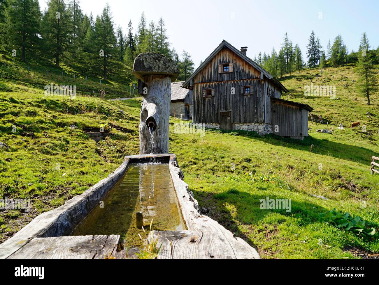 Una casa rustica in legno e un canale d'acqua a Neustatt Alm nelle Alpi austriache nella regione di Dachstein (Stiria in Austria) Foto Stock