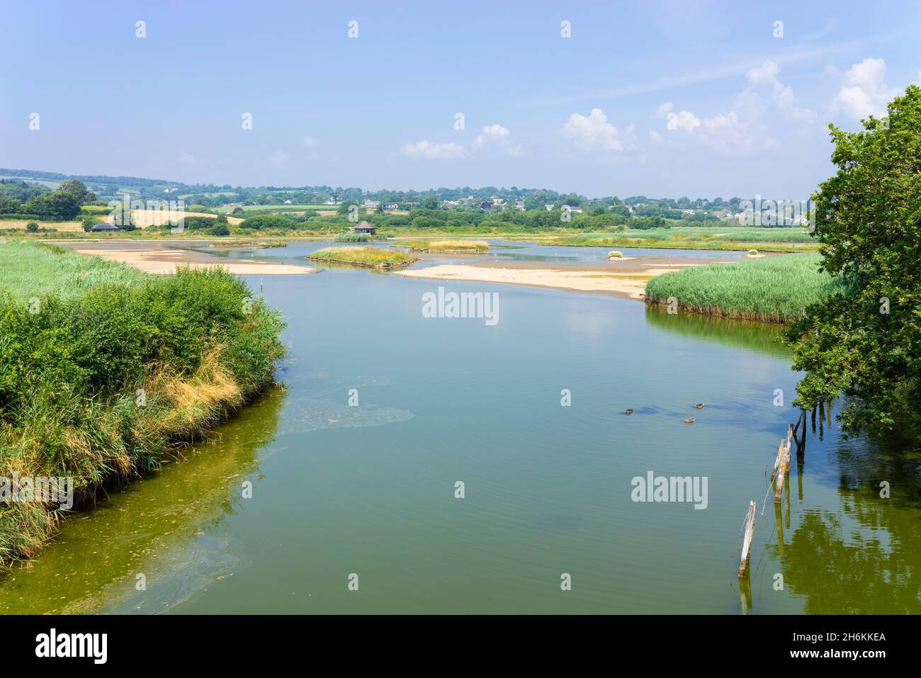 Seaton Wetlands Nature Reserve acqua dolce pascolo palude e Black Hole Marsh Seaton Devon Inghilterra GB Europa Foto Stock