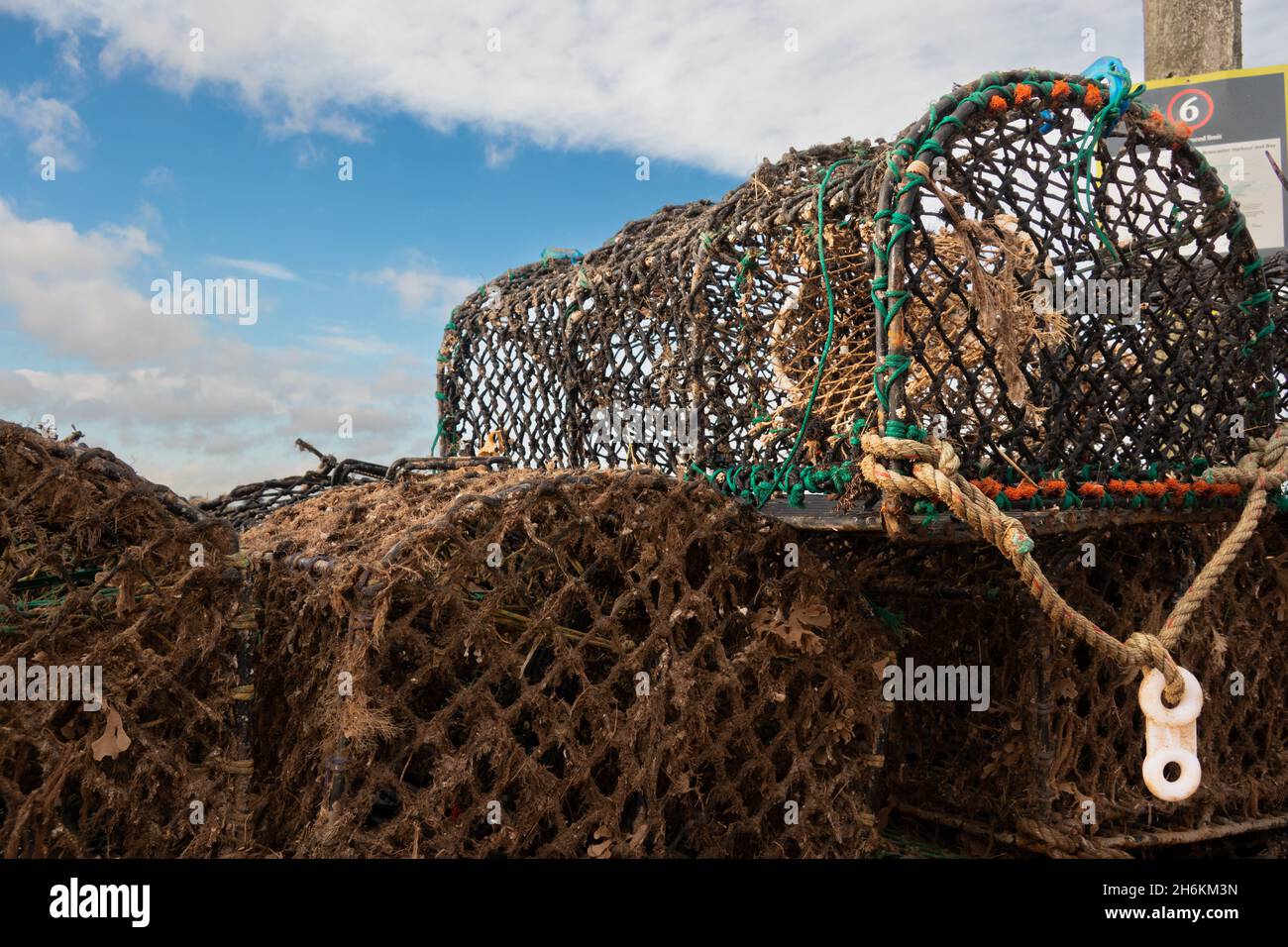 Primo piano di una gabbia di granchio Nord Norfolk Inghilterra Foto Stock