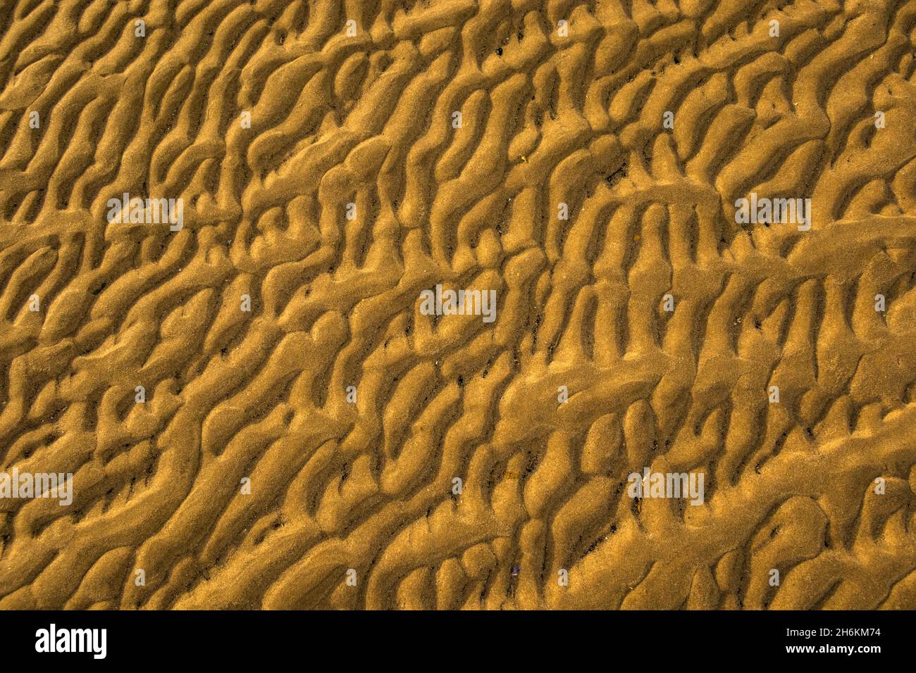 Primo piano di ondulazione di sabbia che forma i modelli nella sabbia Foto Stock