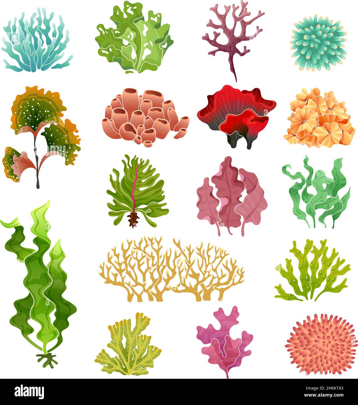 Corallo e alghe. Flora subacquea, acqua di mare alghe acquario kelp e coralli. Set vettoriale di piante oceaniche Illustrazione Vettoriale