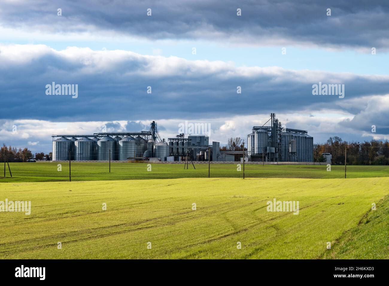 silos d'argento e moderno elevatore di granai e linea di pulitura di semi su impianti agroalimentari e di produzione per la conservazione e la lavorazione della pulizia di essiccazione Foto Stock