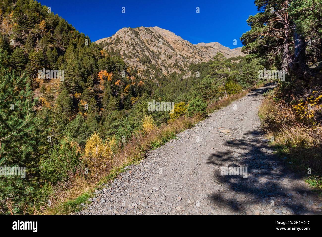 Sentiero escursionistico nel Parco Naturale Comunal de les Valls del Comapedrosa parco nazionale in Andorra Foto Stock
