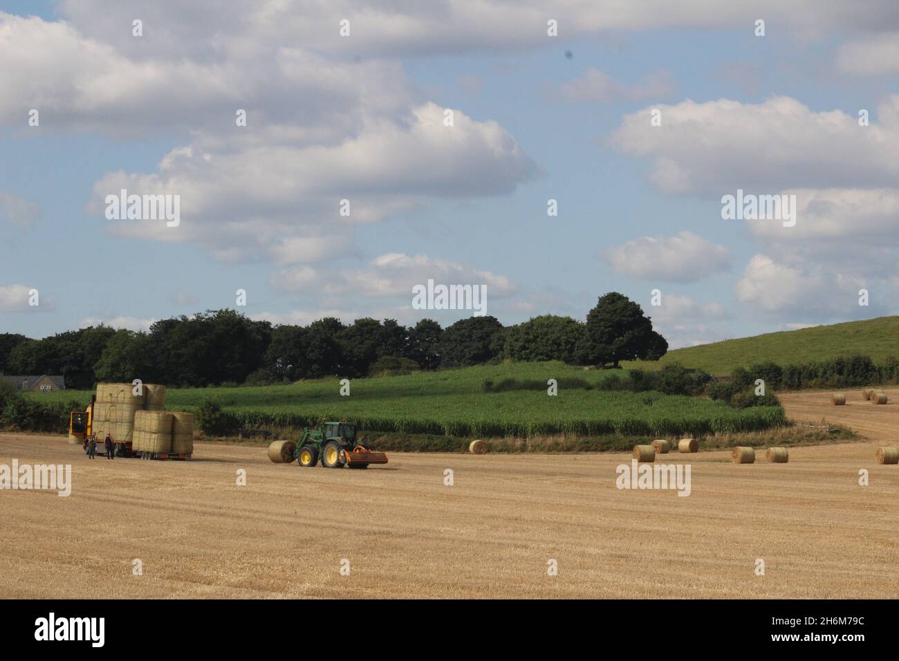 Balle rotonde di fieno impilate su un camion da un trattore per il trasporto fuori campo, in una giornata estiva vicino Wakefield West Yorkshire nel Regno Unito Foto Stock