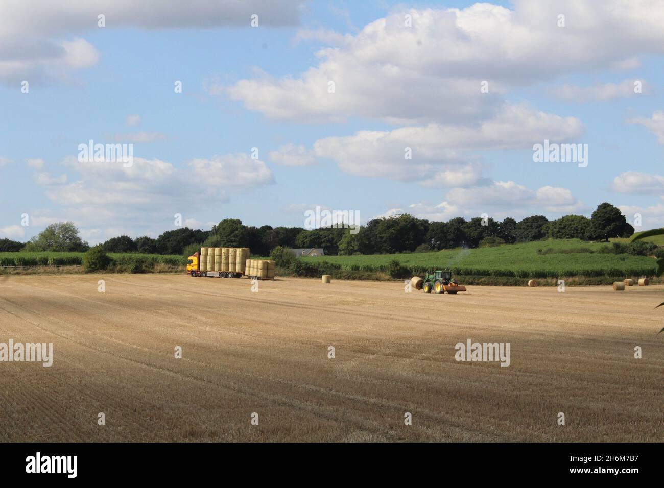 Balle rotonde di fieno impilate su un camion da un trattore per il trasporto fuori campo, in una giornata estiva vicino Wakefield West Yorkshire nel Regno Unito Foto Stock