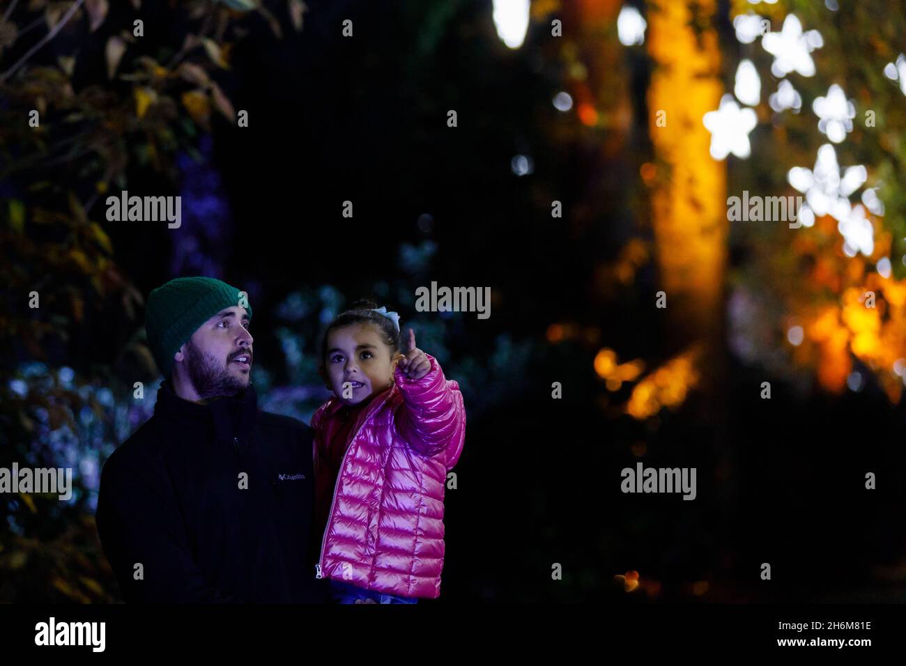 Kew Gardens, Richmond, Regno Unito. 16 novembre 2021. Oltre un milione di luci scintillanti illuminano gli iconici giardini Kew mentre la loro esposizione di luci di Natale ritorna per un nono anno. Il Natale a Kew parte da mercoledì 17 novembre 2021 a domenica 9 gennaio 2022 Amanda Rose/Alamy Live News Foto Stock