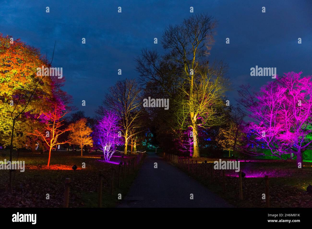 Kew Gardens, Richmond, Regno Unito. 16 novembre 2021. Oltre un milione di luci scintillanti illuminano gli iconici giardini Kew mentre la loro esposizione di luci di Natale ritorna per un nono anno. Il Natale a Kew parte da mercoledì 17 novembre 2021 a domenica 9 gennaio 2022 Amanda Rose/Alamy Live News Foto Stock