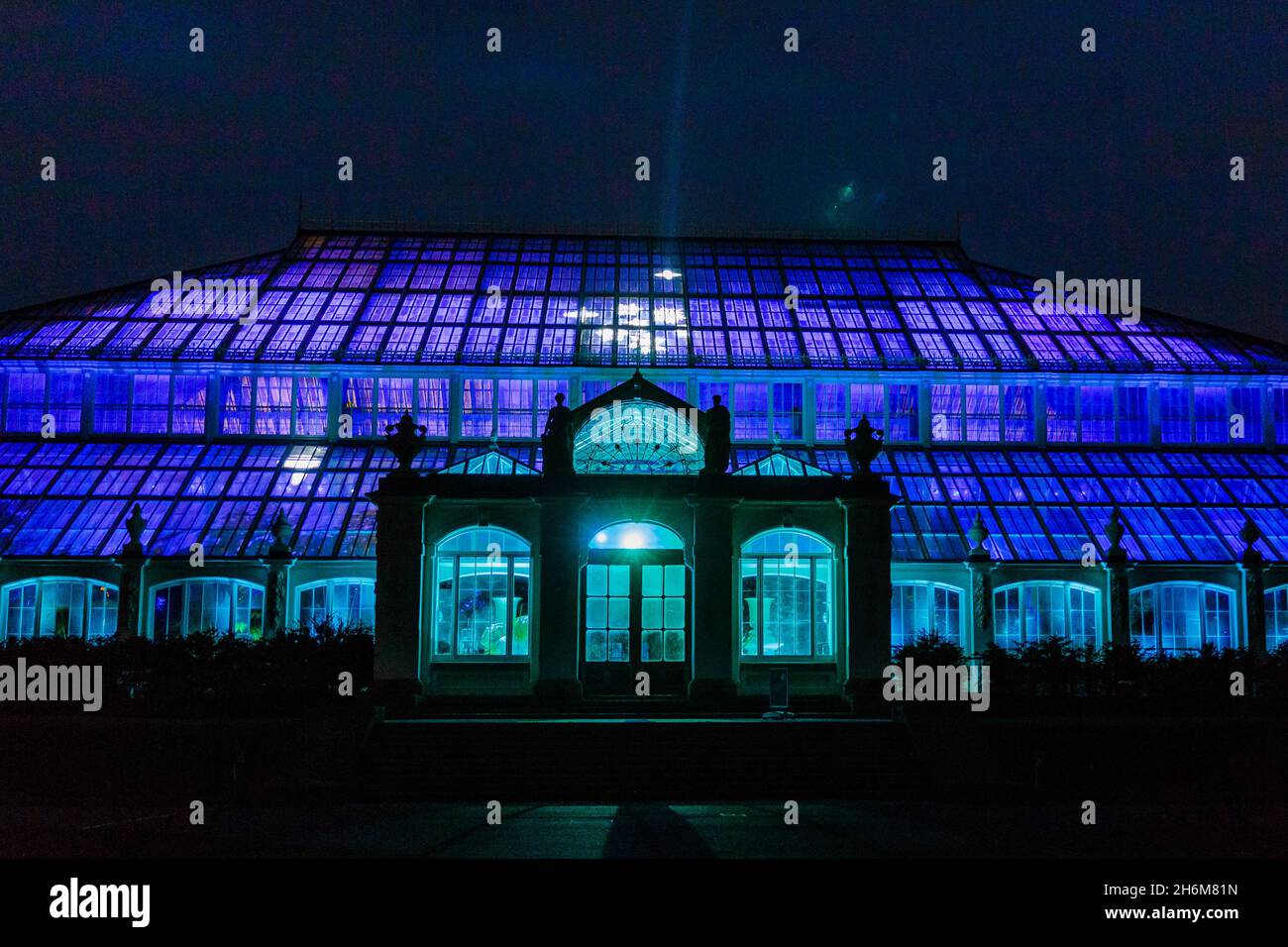 Kew Gardens, Richmond, Regno Unito. 16 novembre 2021. Oltre un milione di luci scintillanti illuminano gli iconici giardini Kew mentre la loro esposizione di luci di Natale ritorna per un nono anno. Il Natale a Kew parte da mercoledì 17 novembre 2021 a domenica 9 gennaio 2022 Amanda Rose/Alamy Live News Foto Stock