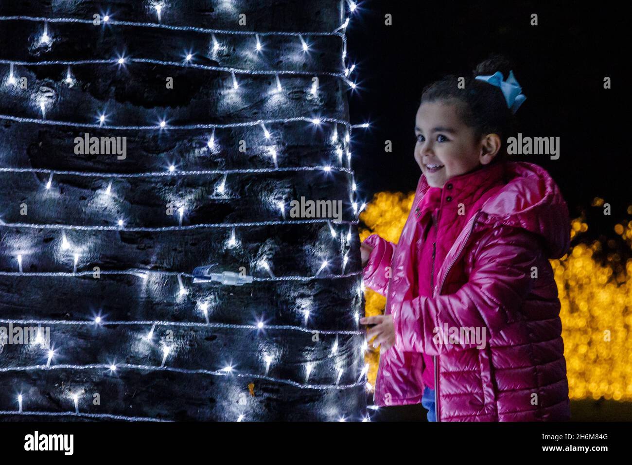 Kew Gardens, Richmond, Regno Unito. 16 novembre 2021. Oltre un milione di luci scintillanti illuminano gli iconici giardini Kew mentre la loro esposizione di luci di Natale ritorna per un nono anno. Il Natale a Kew parte da mercoledì 17 novembre 2021 a domenica 9 gennaio 2022 Amanda Rose/Alamy Live News Foto Stock