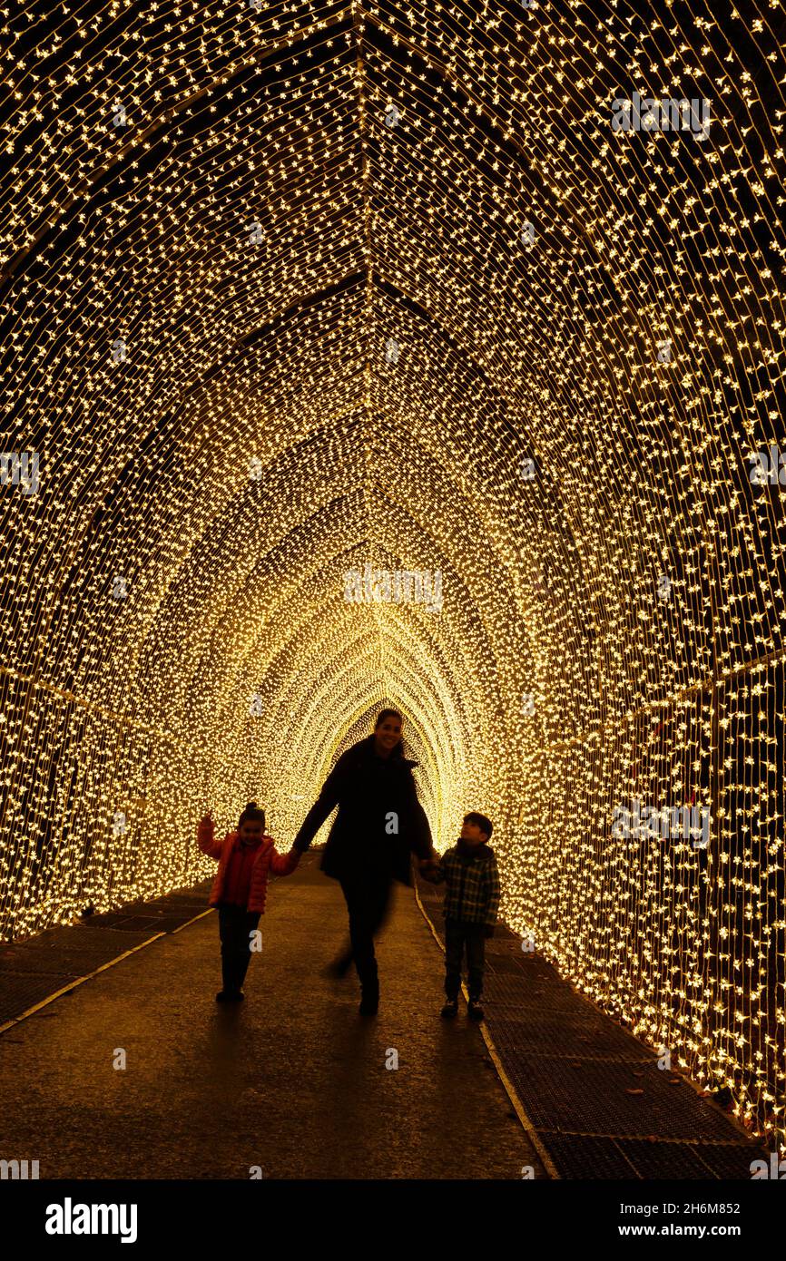 Kew Gardens, Richmond, Regno Unito. 16 novembre 2021. Oltre un milione di luci scintillanti illuminano gli iconici giardini Kew mentre la loro esposizione di luci di Natale ritorna per un nono anno. Il Natale a Kew parte da mercoledì 17 novembre 2021 a domenica 9 gennaio 2022 Amanda Rose/Alamy Live News Foto Stock