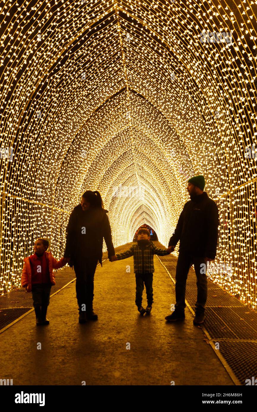 Kew Gardens, Richmond, Regno Unito. 16 novembre 2021. Oltre un milione di luci scintillanti illuminano gli iconici giardini Kew mentre la loro esposizione di luci di Natale ritorna per un nono anno. Il Natale a Kew parte da mercoledì 17 novembre 2021 a domenica 9 gennaio 2022 Amanda Rose/Alamy Live News Foto Stock