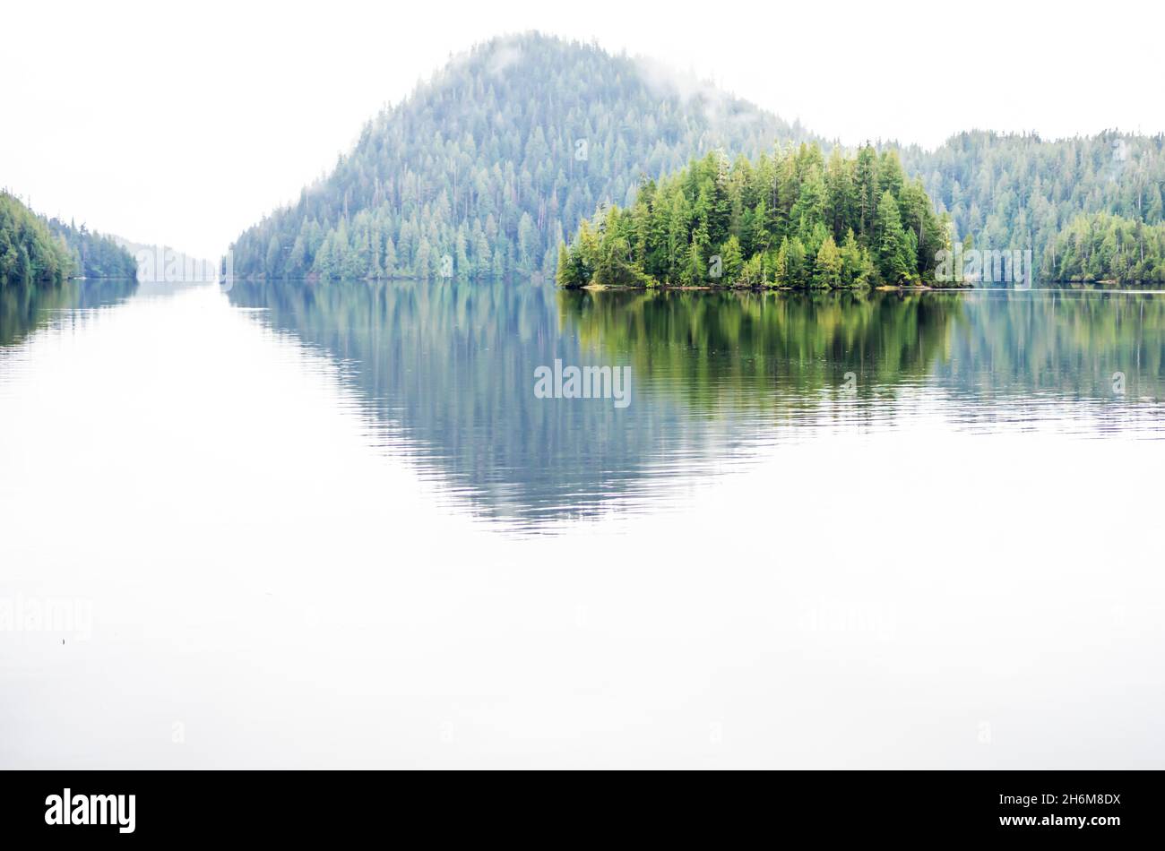 Foresta coperta isole in un mare calmo Foto Stock