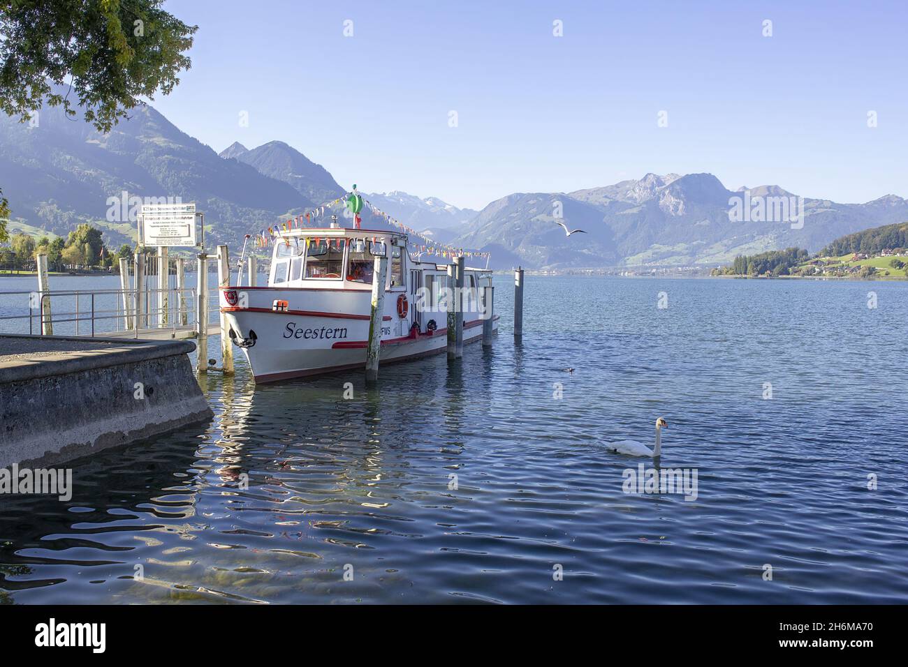 SARNEN, SVIZZERA - 27 settembre 2021: Una nave sul lago Sarnen (Sarnensee) e un cigno a Sarnen, Svizzera Foto Stock