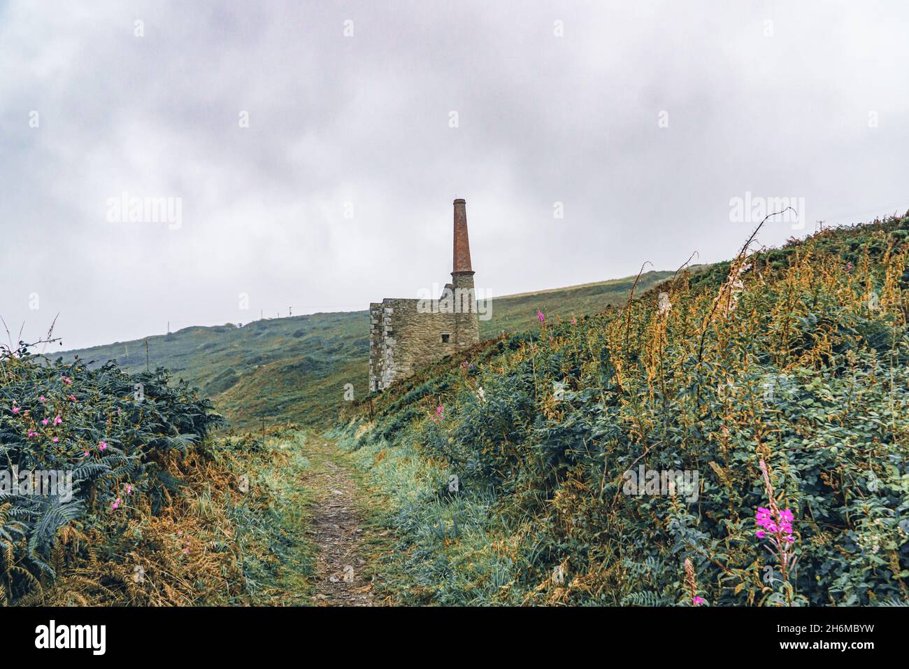 Il vano motore della miniera di stagno Wheal Prosper si trova tranquillamente sulla scogliera di Rinsey, in Cornovaglia, con un sentiero che conduce attraverso le siepi verdi in un giorno coperto. Foto Stock
