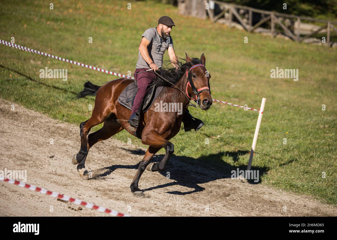 Vieira do Minho, Portogallo - 14 novembre 2021: Gara di cavalli amatoriale nel parco pubblico di Vieira do Minho. Jockey e il suo cavallo bruno che corre in pista. Foto Stock