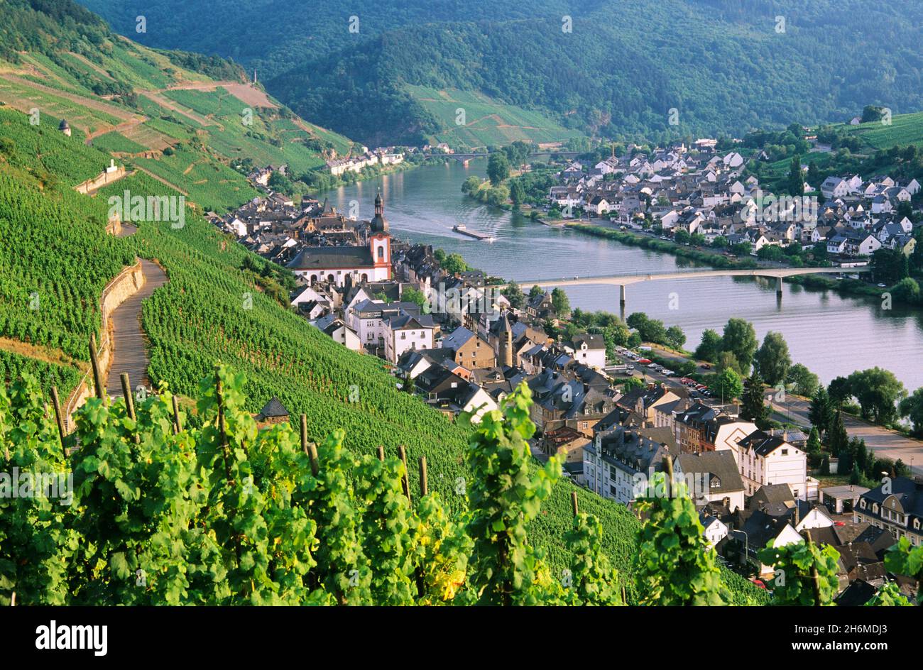 Panoramica dei vigneti che circondano Zell e il fiume Mosel, Renania-Palatinato, Germania Foto Stock