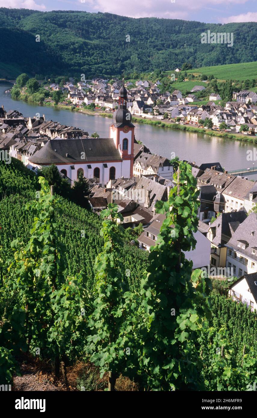 Panoramica dei vigneti che circondano Zell e il fiume Mosel, Renania-Palatinato, Germania Foto Stock
